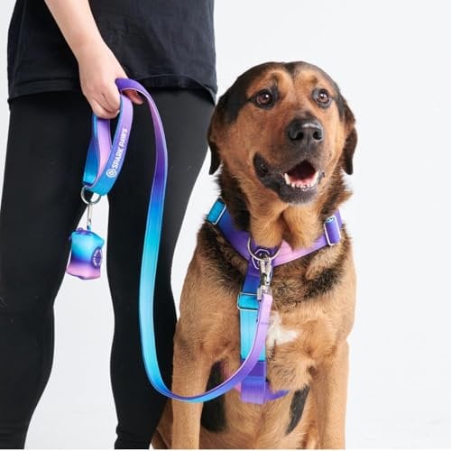 Spark Paws No Pull Hundegeschirr Grosse Hunde, Halterdesign mit Frontclip, Y Geschirr Hund, Robust und Strapazierfähig Harness für Große und Starke Rassen - 90s Retro, L
