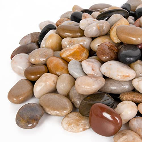 GASPRO 3,6 kg Steine für Pflanzen, dekorative Steine für Pflanzgefäße, Garten, Landschaftsbau, Vasen, 3,8 cm, Flussstein für Aquarium, Terrarium, gemischte Farben
