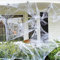 Bluelves 250g Spinnennetz + 25 Spinnen,Halloween Deko Spinnenweben,Halloween Spinnennetz Deko,Spinnengewebe Halloween Dekoration,Halloween Party Horror Deko für Outdoor Party Garten Gartendekoration