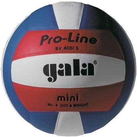 Unbekannt Gala Pro Line Mini Volleyball- Größe 4.