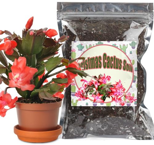 GOTVUGE Christmas Cactus Potting Soil Mix 1L, Ideal for Succulents, Christmas Cacti, and Other Indoor Potted Plantings