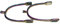 ARBO-INOX Sporen Edelstahlsporen Dornsporen Regenbogen Rainbow (15mm gerade)