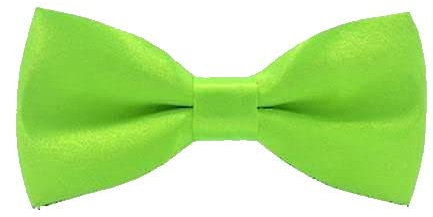 OUTLETISSIMO® PAPILLON RASO SLIM SOTTILE CRAVATTINO FARFALLINO FARFALLA UOMO DONNA Verde