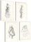 mojoliving Skelett Anatomie Poster Set Anatomie Modell Bilder Schlafzimmer Anatomie Skelett Deko Aesthetic Bilder Vintage Anatomie Poster Skelett Aesthetic Room Decor Fitness Poster