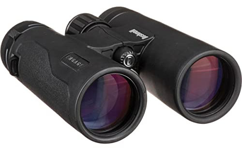 Bushnell Fernglas Engage DX 10x42 - Profi Fernglas, brilliante Bildqualität, detailreich, robust, mehrfach beschichtete Linsen, BENDX1042