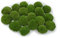 Kugelmoos, Ballenmoos Moos konserviert in 3 versch. Farben, echtes haltbares Naturprodukt zum Moosbild basteln, deckt 30x30cm Fläche - 0,10m² (Hellgrün)