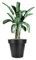 BigDean Blumentopf L ø40 cm Classic anthrazit - wiederverschließbarer Wasserablauf - wetterfest aus bruchsicherem Kunststoff - Pflanzkübel groß Außen & Innen geeignet - Made in Europe
