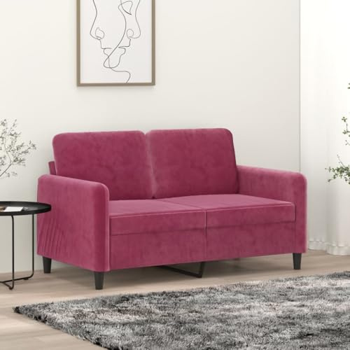 QZZCED 2-Sitzer-Sofa aus rotem Samt, 120 cm, robustes Metallgestell und dicke Polsterung für maximalen Komfort, modernes Design für Wohnzimmer und Räume