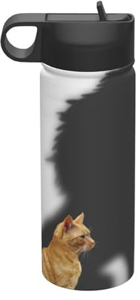 LAMAME Bouilloire isotherme avec motif chat et lion - Bouteille isolée sous vide
