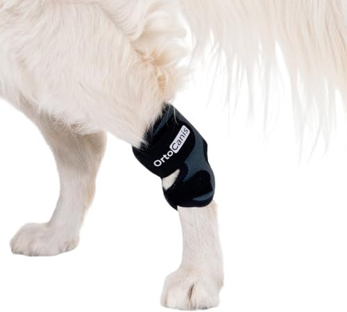 Ortocanis - Sprunggelenkbandage für Hunde - Unterstützung des Tarsus bei Arthrose, Bänderverletzungen und Sehnenentzündungen - Aus ARD-Neopren - Größe: M 14-16,5 cm - 12-13.5 cm