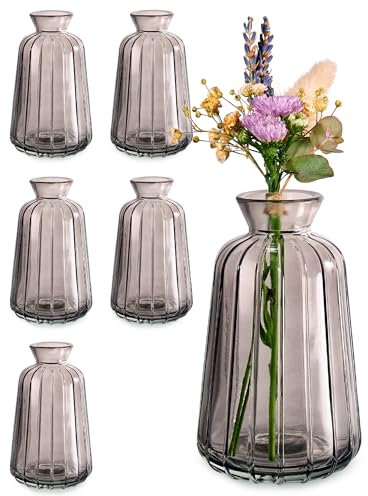 Praknu Kleine Glasvasen für Tischdeko - 6er Set - Vintage Charme - Runde Minivasen - Spülmaschinenfest - Perfekt für Hochzeit Tischdeko - Grau