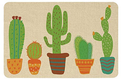 SUPERFINDINGS 1 Pz 40x60 cm Cactus Zerbino Ultra Assorbe Il Fango Zerbino di Casa con Retro in Gomma Antiscivolo Tappetino per Interni Facile da Pulire per Ingresso Esterno del Garage Interno