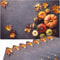 matches21 Herbstliche Tischsets Platzsets Motiv abwaschbar Kürbisse Herbstlaub Herbst auf Beton bunt 8er 43,5x28,5 cm