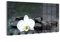DEQORI Wandgarderobe Glas & Metall | Motiv Kontrastreiches Zen-Motiv | 60x30 cm | Design Haken-Leiste modern | Garderoben-Paneel für Flur, Wohnzimmer & Schlafzimmer | magnetisch & beschreibbar
