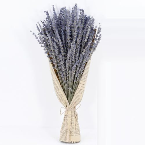 FOLANDO Getrocknete Lavendelstrauß Trockenblumenstrauß natürlich Lavendelblüten getrocknet Blumenstrauß Lavendel Blumenarrangement Natürliche Getrocknet Blumen Dried Flowers Tisch Haus Deko