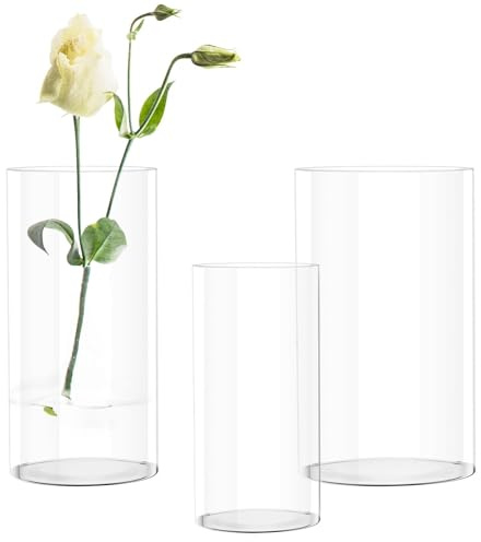 Ravytha 3 Pezzi Vaso Fiori, Vasi da Interno, Vaso Decorativo Trasparente, Vasi Trasparenti Plastica, Set Vasi Decorativi Cilindrico, per Matrimonio, Centrotavola, Fai Da Te