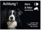 Border Collie-Alarm-Video-Überwachung-Hund-3 Größen-2-3 mm Materialstärke-Schild-Hundeschild-Aluminium-Hunde-Tierschild-Warnschild-Hinweisschild (1452-104 -15 x 10 cm mit Löcher)