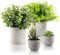 ilauke Potted Artificial Plants Indoor, 4 Pcs Fake Plants, Mini Faux Plants, Decorative Artificial Plant in Pots, Fake House Plant for Office Balcony Desk Bathroom Garden