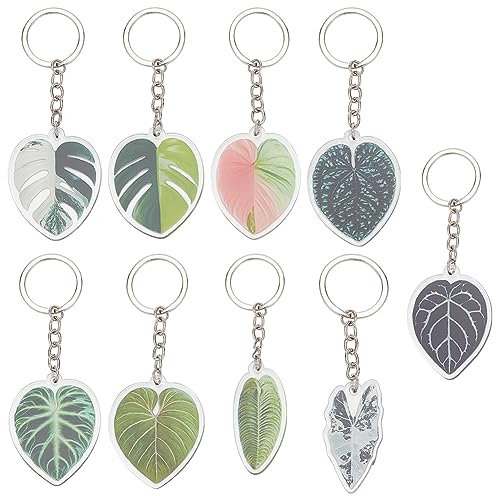 DELORIGIN 9 porte Clés en Forme de Feuille D'Acrylique. Porte Clés Plante Monstera Hawaïenne Porte Clés Feuille Tropicale Bijoux Suspendus pour Femmes Décorations de Sac D'Été