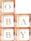 Ballonbox Transparent mit 2 sets 26 Buchstaben A-Z, Ballon Box Hochzeit Geburtstag,Baby Boxen Deko, Geschenkbox Baby Party Dekoration,Babyshowerparty Deko (Rose Gold 5 box with 52 letter)
