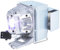 iReijomoi Lampadina di ricambio BL-FP240G con alloggiamento per proiettori OPTOMA DH350, EH334, EH335, EH336, EH337, HD143X, HD144X, HD270e, HD27e, WU335, WU337