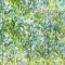 Qualsen Pellicola per Vetri Finestre 90x200cm, Effetto Arcobaleno Pellicola Adesiva per Vetri Motivo di Foglia Verde Decorativa Elettrostatica Pellicola Privacy Finestre per Casa Ufficio Cucina