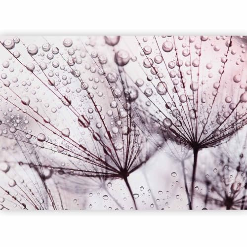 murando - Papier peint panoramique nature 400x280 cm - Revêtement mural décoration chambre salon - Design moderne - Gris rose violet marron - Pissenlits fleurs nature plantes eau b-C-0664-a-a