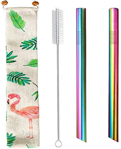 Lot de 2 pailles réutilisables en acier inoxydable pour smoothie, milkshake - 12 mm - Avec sac de transport et brosse de nettoyage - Design pointu coloré
