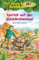 Das magische Baumhaus (Band 62) - Notfall auf der Schildkröteninsel: Rette mit Anne und Philipp die Schildkröten - Kinderbuch zum Vorlesen und ersten Selberlesen für Kinder ab 6