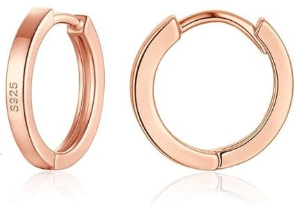 wynn's Silver Hoop Earrings for Women, 925 Sterling Silver Unisex Small Sleeper Hoop Earrings, Rose Gold Hooped Huggie Cartilage Earrings for Women Men Girls (10mm)