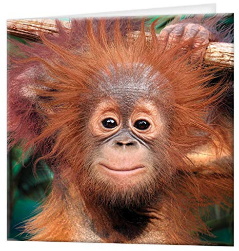 3D LiveLife Grußkarte - Baby Orang-Utan von Deluxebase. Bunte Affen Lentikular 3D-Karte für jeden Anlass und jedes Alter. Originalvorlage lizenziert von dem bekannten Künstler David Penfound