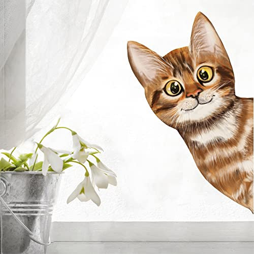 Wandtattoo Loft Fensterbild ins Fenster reinschauende Katze, A4 Bogen, Fensteraufkleberl, Selbstklebende Fenstersticker, Abziehbilder, Fensterdeko,