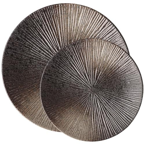 DECHOUS 2 Piezas disco de cerámica antiguo planchas de barbacoa tarteras para tartas bandeja de pizza placa de la vendimia Bandeja de comida plato de cerámica para servir platos de comida