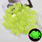 GROWWISH Gartendekoration Leuchtende Steine, die im Dunkeln leuchten, dekorative Kieselsteine für den Außenbereich, Dekoration für Aquarien, Kieselsteine, Aquarienmischung, Farbe, 50 Stück, Gelb