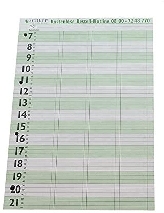 Terminplaner A4 Ringbuchlochung 20-Min-Takt 100 Blatt Patiententermine