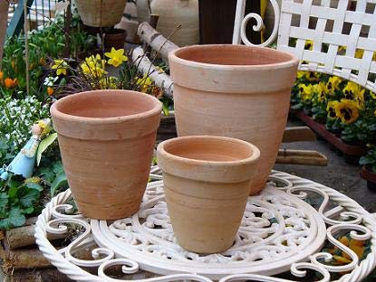 6 kl. Blumentöpfe, echt Terrakotta Blumenkübel für Garten und Wohnung Terracotta Kakteen Landhaus Kräutertopf