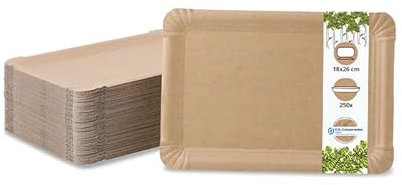 BIOZOYG Assiette en carton carrée 250 pièces I Assiette à snack de couleur naturelle biodégradable I Bol en papier à frites 18 x 26 cm rectangulaire