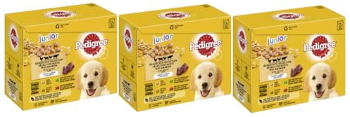 PEDIGREE Portionsbeutel Multipack Junior Gemischte Selektion in Gelee 4 Varietäten mit Huhn, Lamm- und Lebermischung, Geflügel, Rind- und Lebermischung 3 x 12x100g