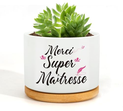 Geschenk für Lehrer, Geschenk für Lehrer, Blumentopf, Geschenkidee für die Lehrerin, Geschenkidee für die Lehrerin, Geschenkidee für die Lehrerin, originelles Geschenk für die Lehrerin,