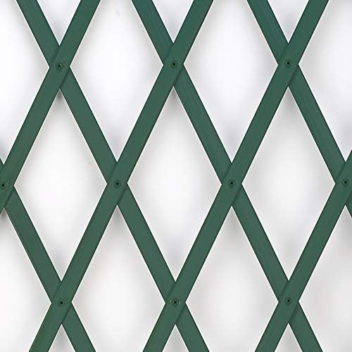 Treplas 1,00x2 m, Verde, Traliccio Estensibile in PVC per Sostegno a Muro di Fiori e Piante Rampicanti