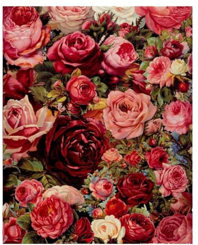 Ehuihuan Bunte Rose Malen Nach Zahlen Erwachsene, Rose Malen Nach Zahlen, Paint by Numbers mit Pinsel und Farben - 40×50 cm Sans Cadre (A)