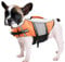 Queenmore Hunde Schwimmweste, Rettungsweste, Schwimmweste Hund kleine große, Rettungsweste für Kajak, Bootfahren, Schwimmweste französische Bulldogge, Dackel (Orange, L)
