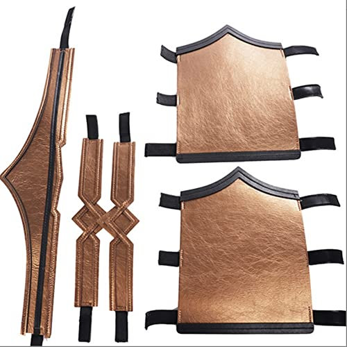 Proumhang Mittelalterliches Kostüm für Männer,Nordic Vintage PU Leder Zubehör,Wikinger-Rüstung,Ritter Cosplay,Halloween Kostüm Arm Armor,Krone+Armschutz+Armstulpen,Gold