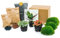 Kit terrario per piante Calathea Lancifolia - Ricarica e Starter kit - Fai da te - 15cm - Ø7cm - Pianta d'appartamento - Ecosistema e terrario
