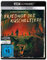 Friedhof der Kuscheltiere (4K Ultra-HD) (+ Blu-ray 2D)