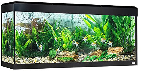 Fluval Aquarium Roma Bluetooth LED-Beleuchtung, 240 l, Schwarz