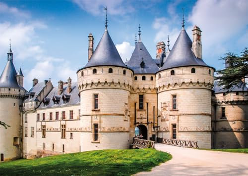 Nathan - Puzzle 1000 Teile – Schloss von Chaumont – Erwachsene und Kinder ab 12 Jahren – Hochwertiges Puzzle – perfekte Integration – Sammlung der Wurzeln und Flügel – 12000900