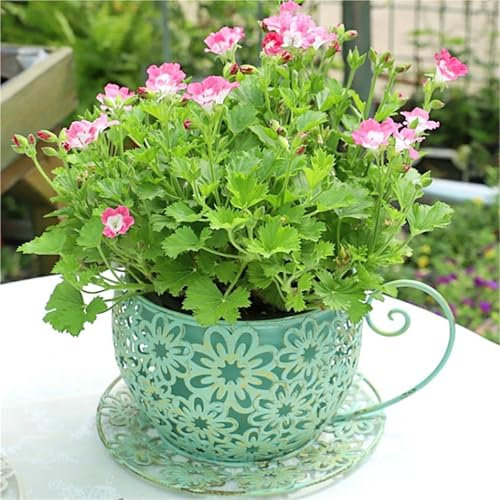Weairotp Vintage Teacup Planter, Succulent Plant Holder, Coffee Saucer Teacup Garden Planter, Hollowed Out Decorative Garden Pot for Indoor and Outdoor(Blue)