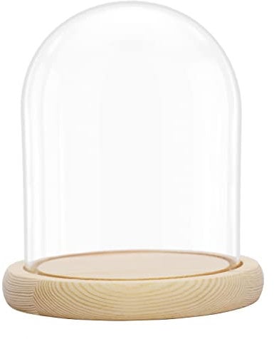 BELLE VOUS Cloche en Verre avec Socle en Bois Naturel - 16,2 cm de Haut - Mini Cloche en Verre Transparent pour Lumières, Plantes, Décoration de Table