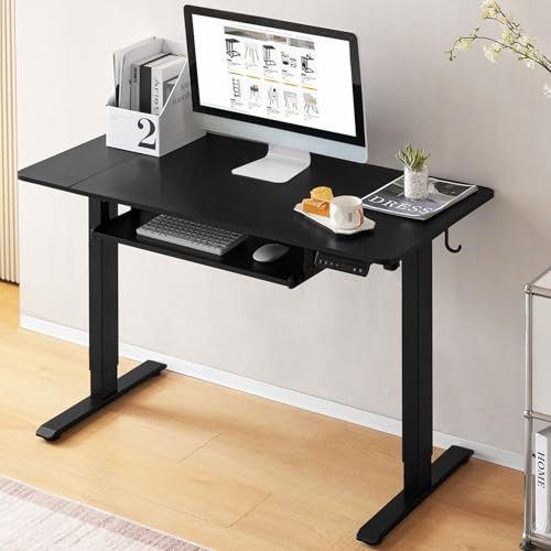WOLTU Höhenverstellbarer Schreibtisch Elektrisch 120x60 cm, Stehschreibtisch mit Memory-Funktion, Computertisch mit Tastaturauszug und Kopfhörer-Haltern, Schwarz, TS176sz01